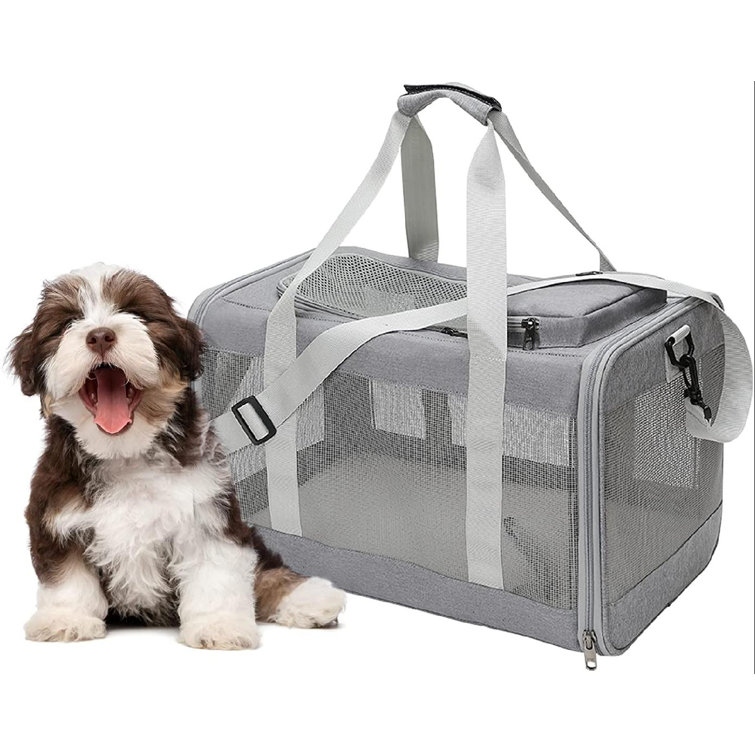 collapsible cat carrier