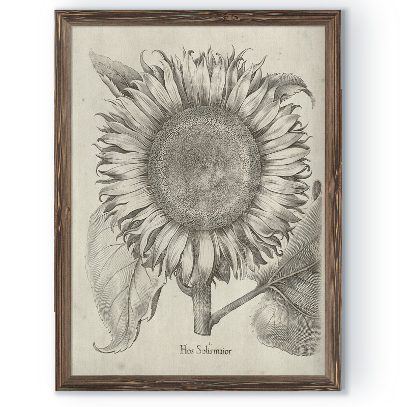 Charlton Home Fresco Sunflower I By Paul Cezanne Picture Frame