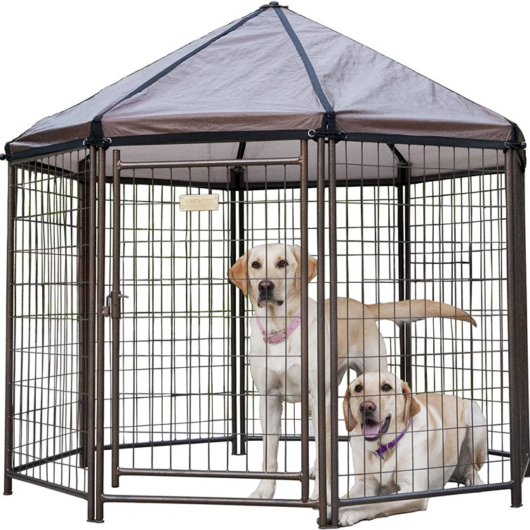 Advantek Metal Dog Pen Wayfair