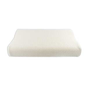 Ergonomic Premium Memory Foam Standard Pillow