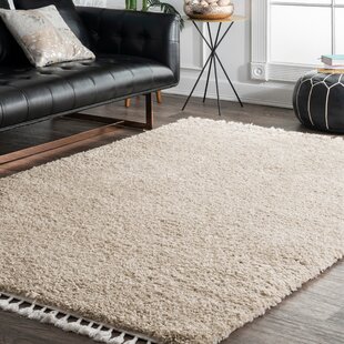 Fringe / Tassel Area Rugs You'll Love in 2021 | Wayfair