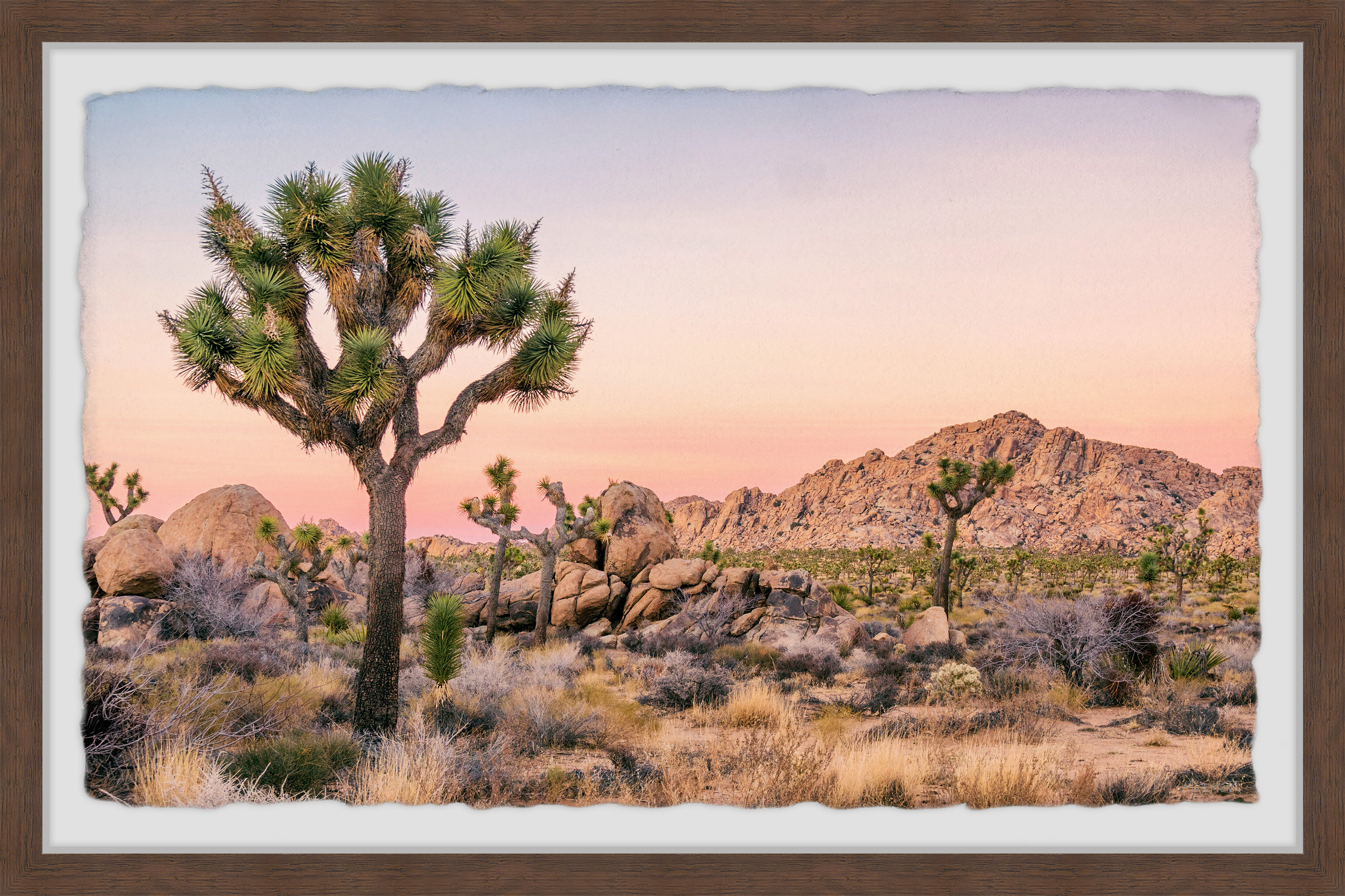 Foundry Select Desert And Boulders Picture Frame Photograph Wayfair