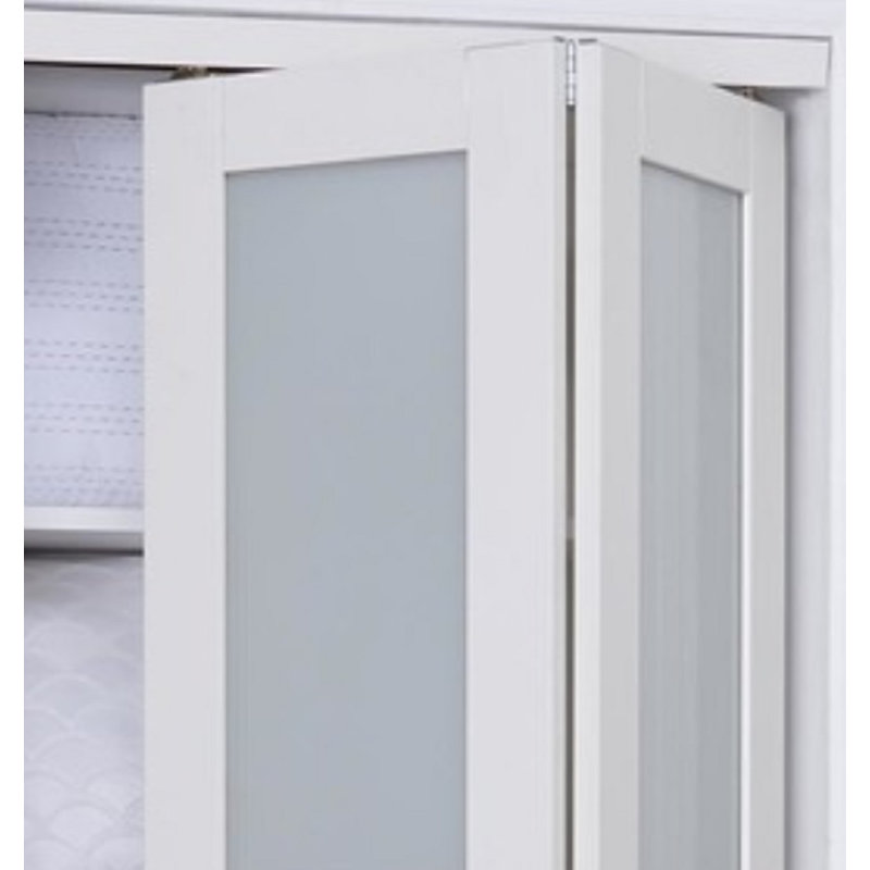 Erias Home Designs Baldarassario Glass Bi Fold Door Reviews