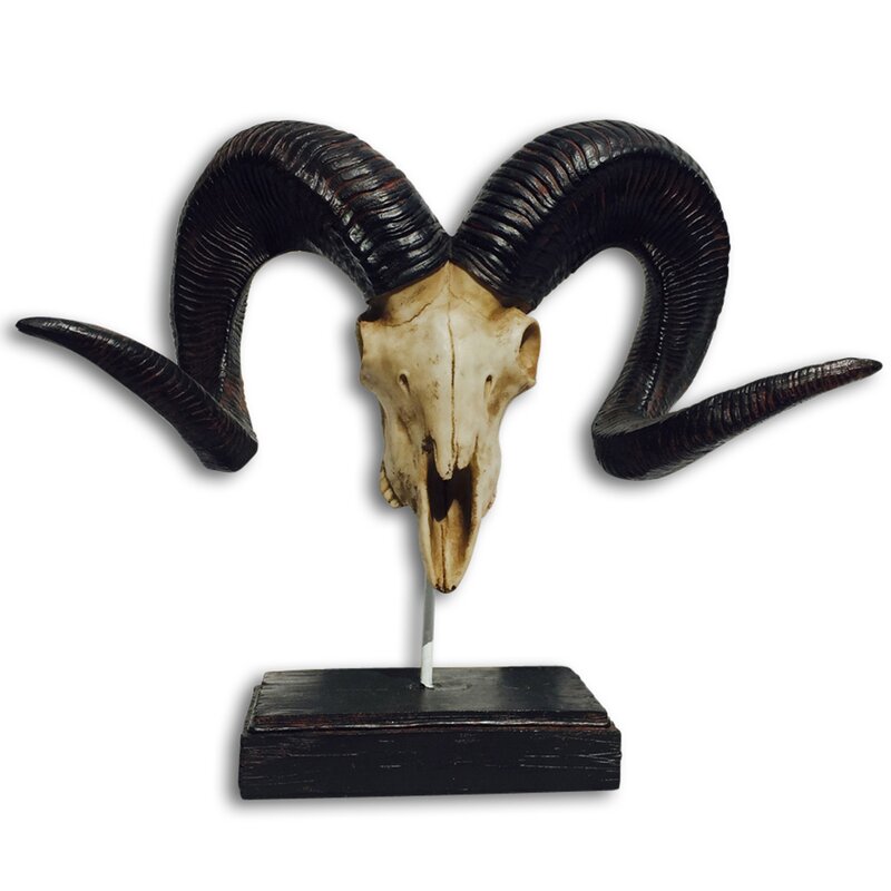 Big Curly Horn Ram Skull Bust.