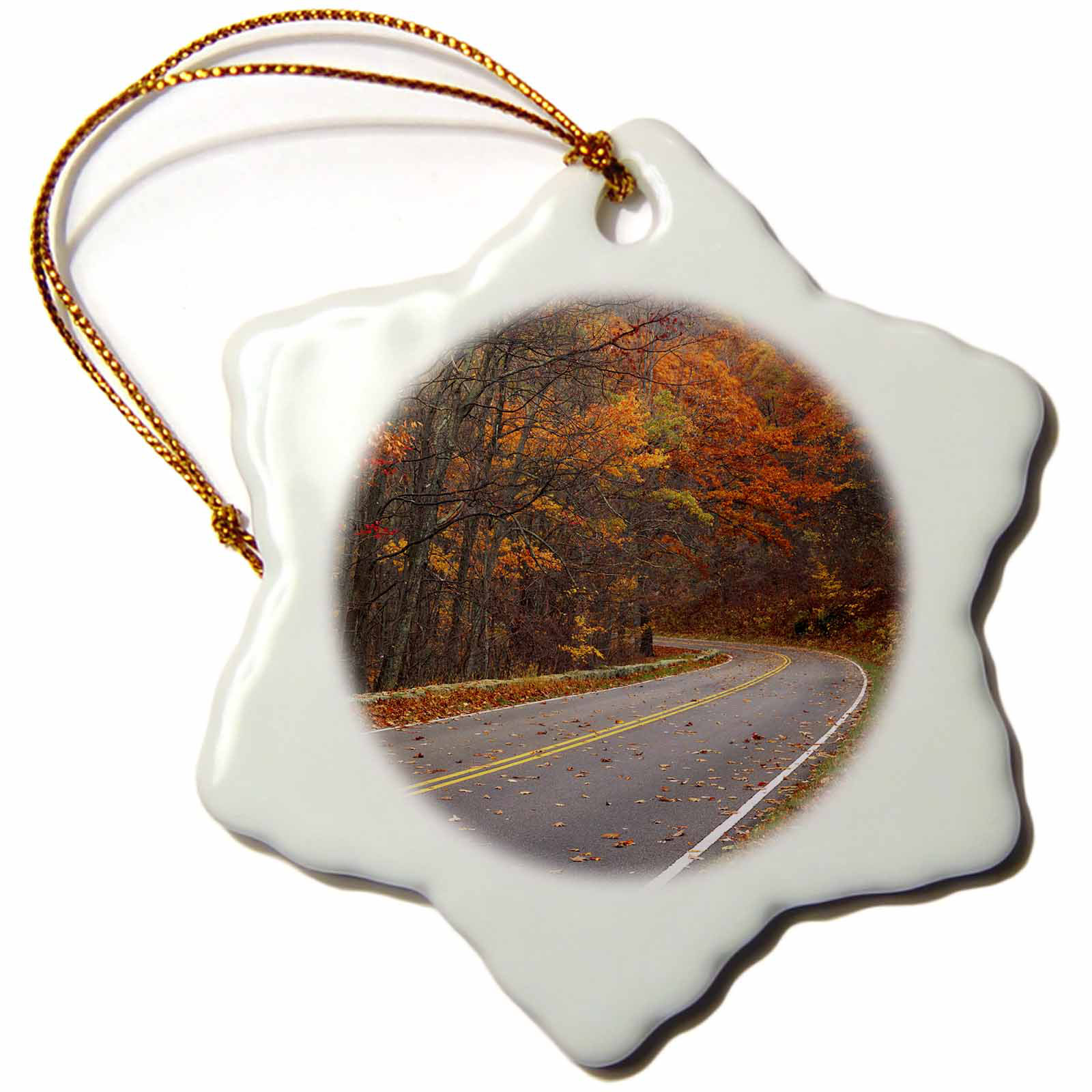 The Holiday Aisle Usa Virginia Shenandoah National Park Skyline Drive Snowflake Holiday Shaped Ornament Wayfair