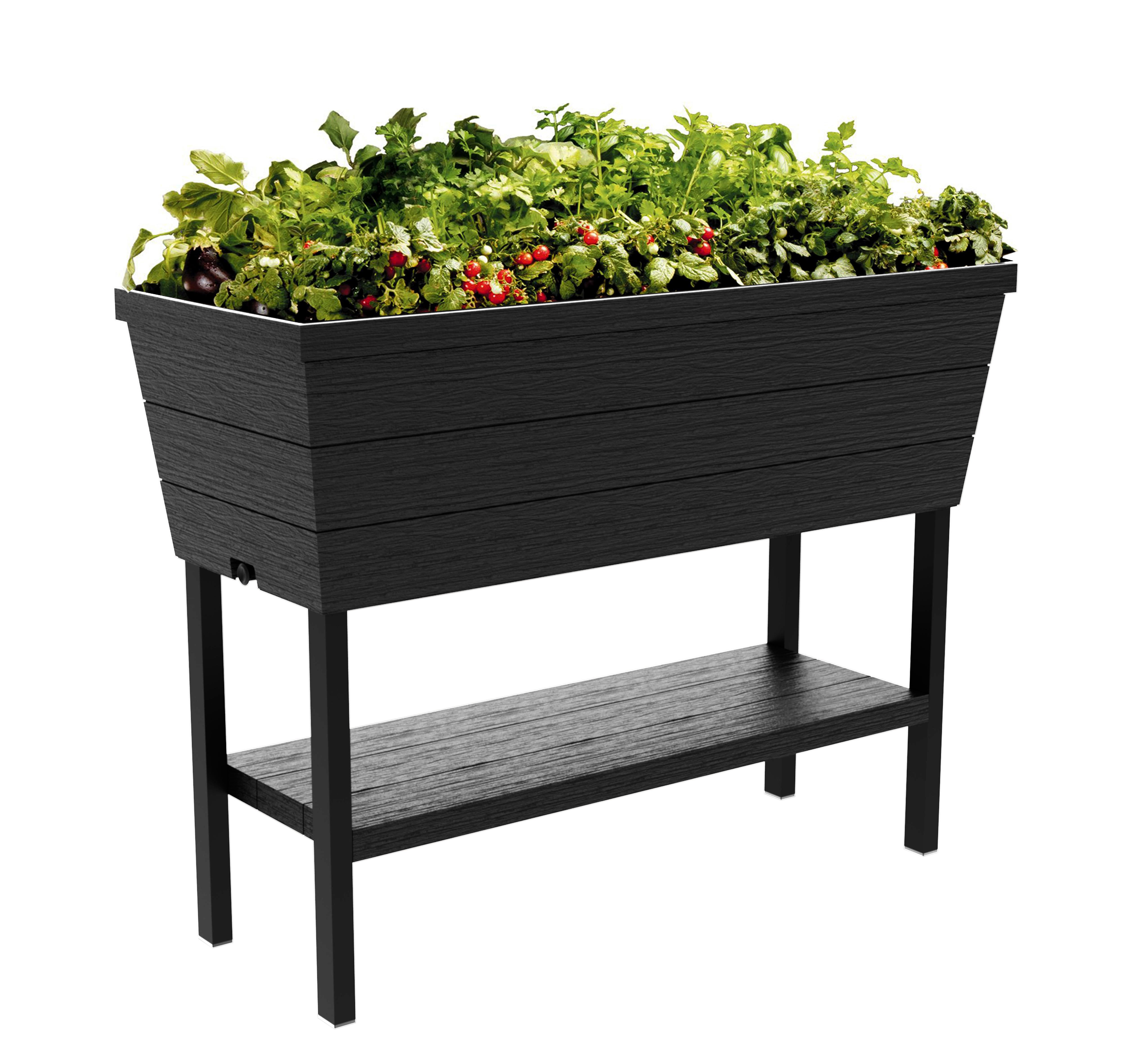 Keter Urban Bloomer Outdoor Raised Garden Flower / Herb Bed Planter