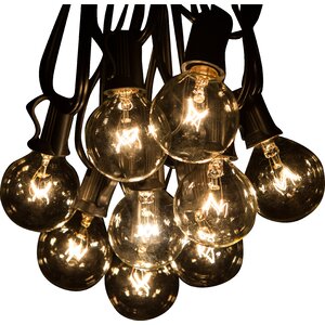 Jaime 50-Light 50 ft. Globe String Lights