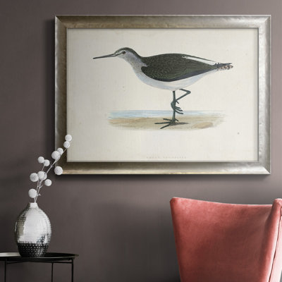 Morris Sandpipers VI Premium Framed Canvas- Ready To Hang