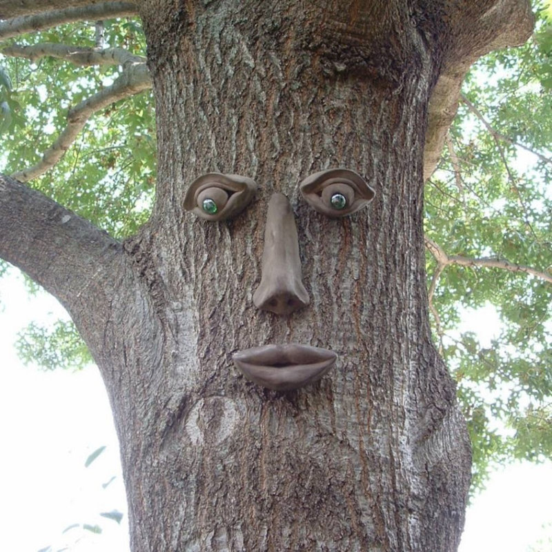 Simon+Tree+Face.jpg