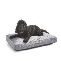 dog mattress uk