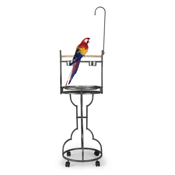 Parrot Perch Pet Bird Mobile Table Top Wood Playstand 