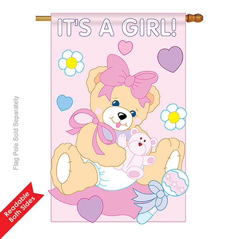 Breeze Decor It S A Girl Special Occasion Family 2 Sided Polyester 40 X 28 In House Flag Wayfair