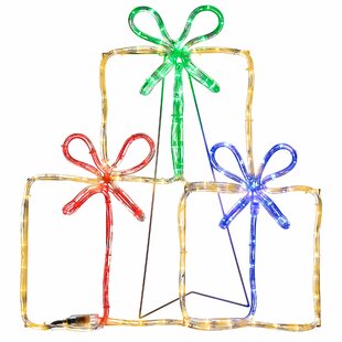 Gift Boxes 24 LED Rope Light By The Seasonal Aisle