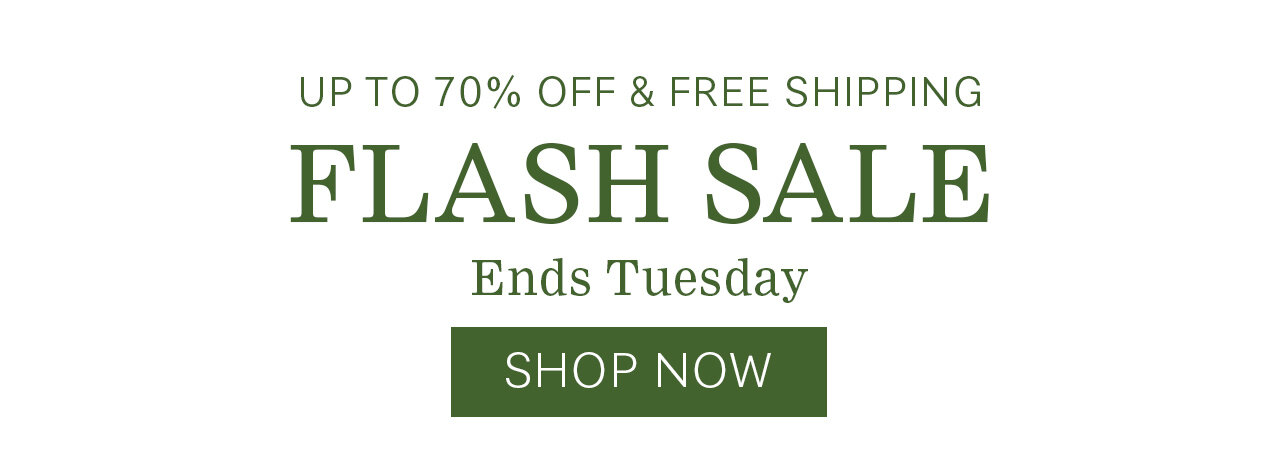 Flash Sale