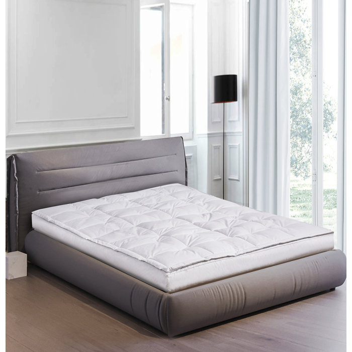 Blue Ridge Home Fashion 233 Thread Count Down Pillow Top