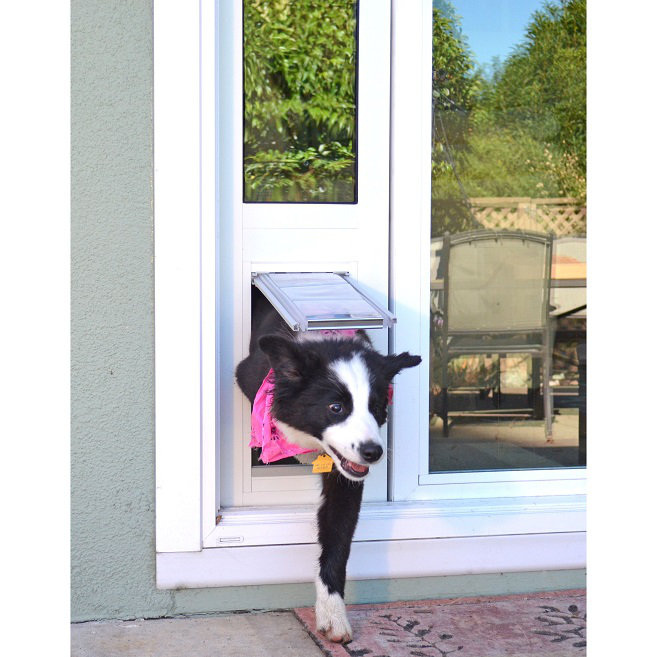 Enduraflap Endura Flap Thermo Panel 3e Pet Door Reviews Wayfair