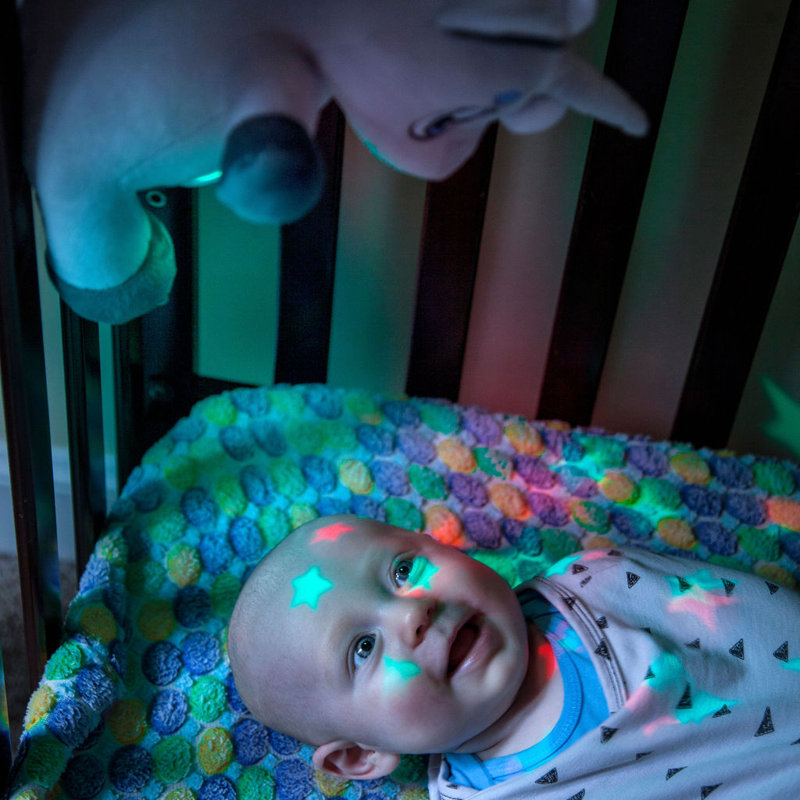 animal night light projector