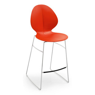 Go to store & view more images Basil 31.75