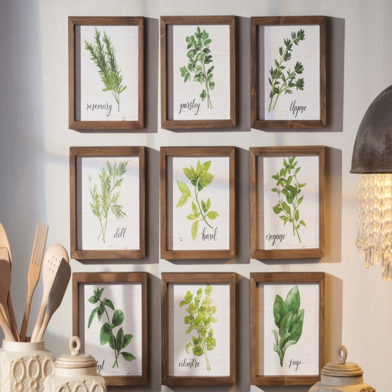 Set of Three Home D/écor Botanical Hand Drawn Flowers Black Stained Frame, 8x10