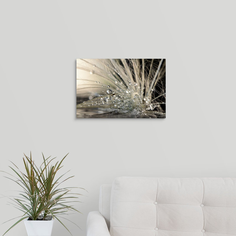 Great Big Canvas Pearls By Maryam Zahirimehr Photographic Print