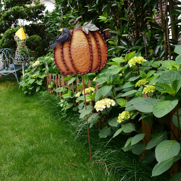 Harvest And Fall Decor Wayfair Ca