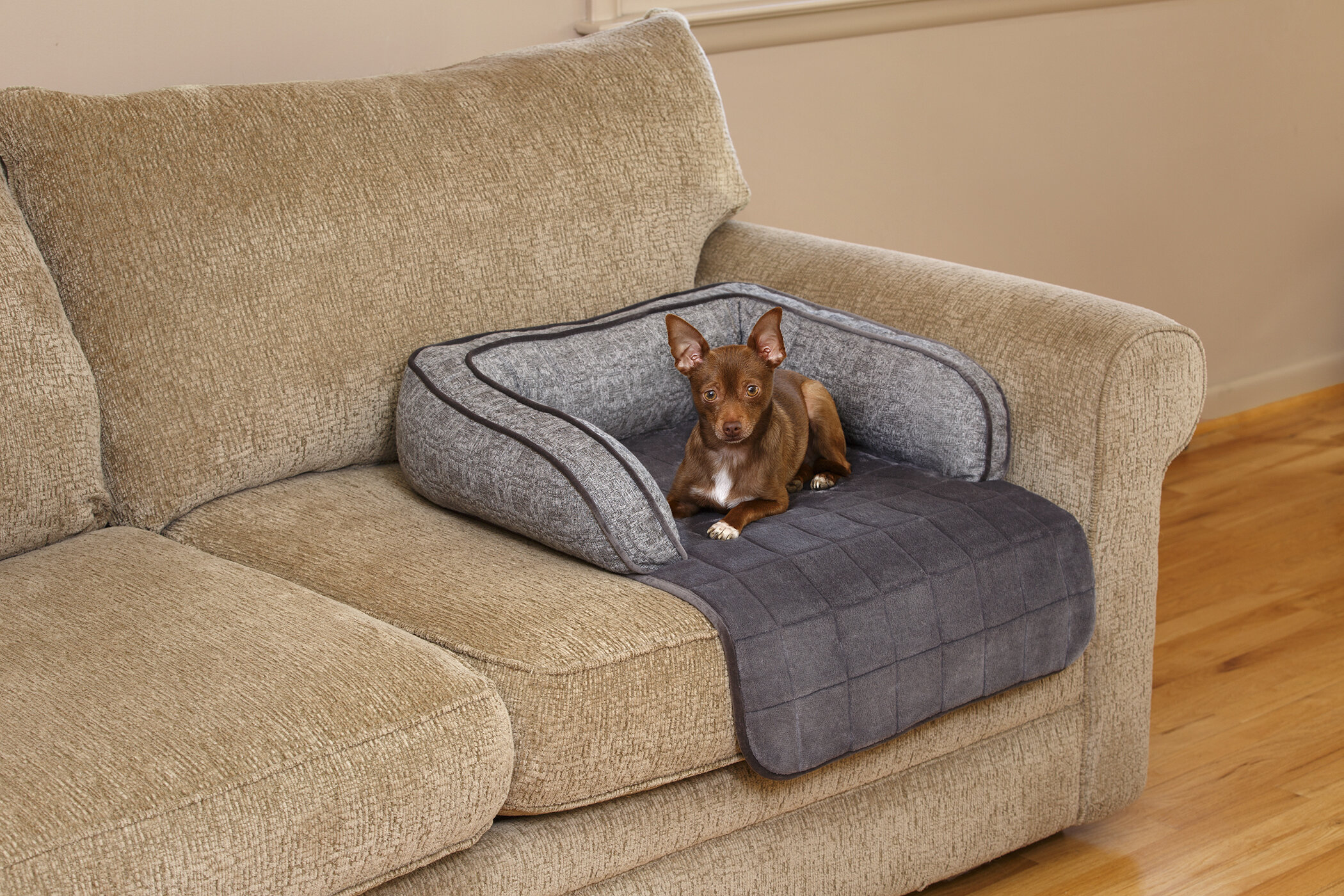 dog bed cover for couch