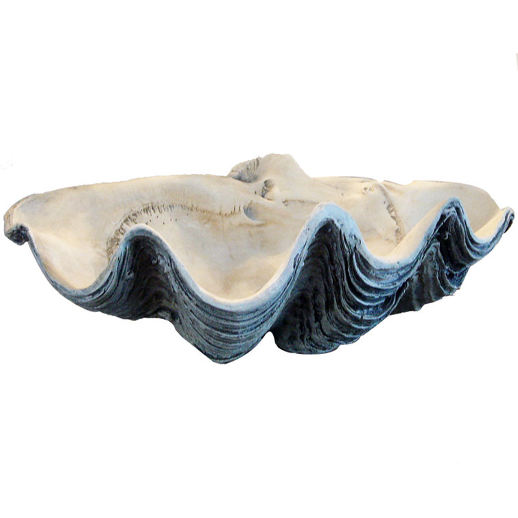 Highland Dunes Grund Giant Clam Shell Clamshell Seashell & Reviews ...