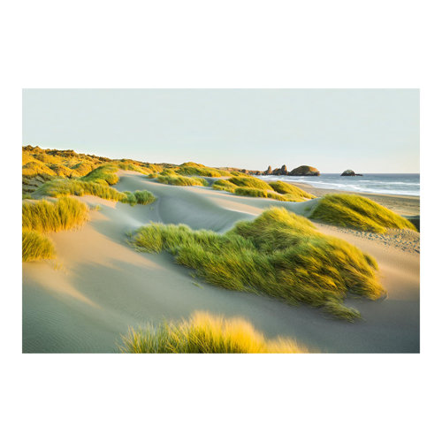Dunes and Grass by the Sea 3.2m x 4.8m Textured Matte Peel & Stick Wall Mural East Urban Home