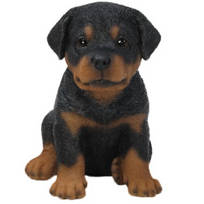 rottweiler items