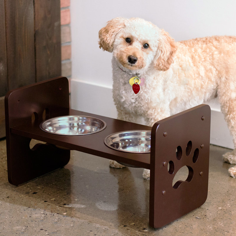 Tucker Murphy Pet Batton Pet Feeder Food Storage Container Wayfair