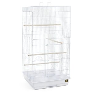 Tiel Bird Cage with Handle