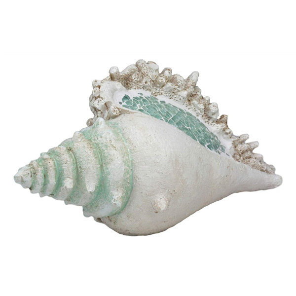 Large Ocean Sea Golden Conch Shell Hermit Crab Statue 6.75/"L Jumbo Seashell