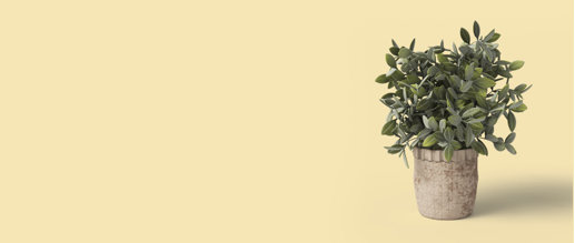 The Best Faux Plants for Every Budget