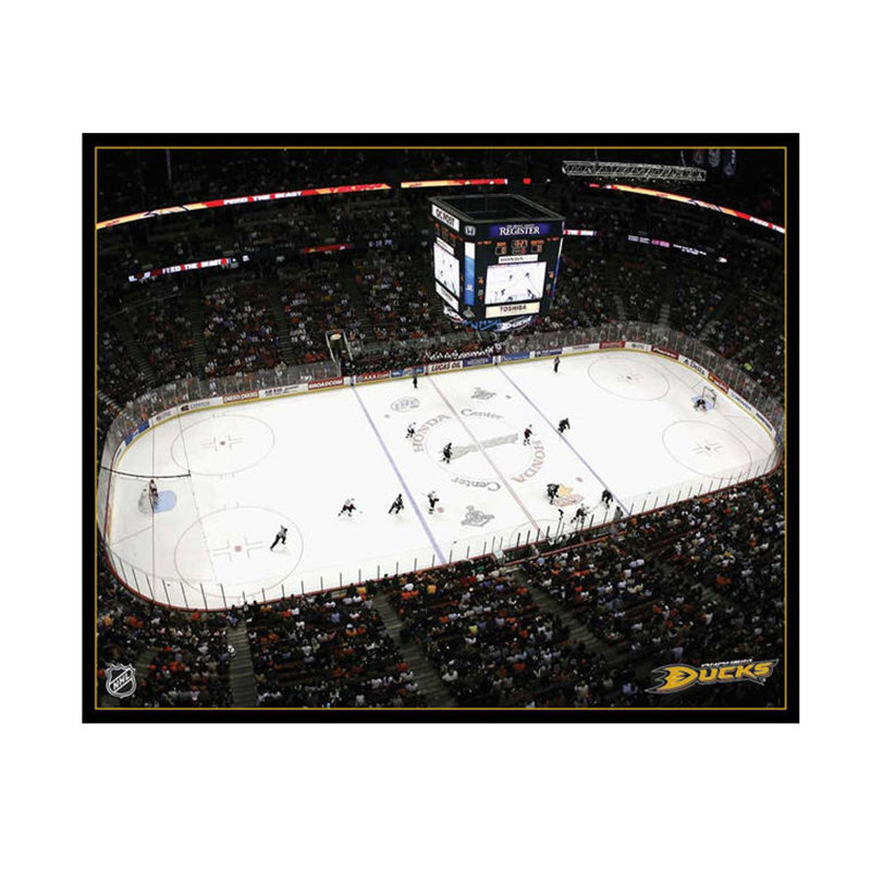 NHL Arena Photographic Print on Canvas