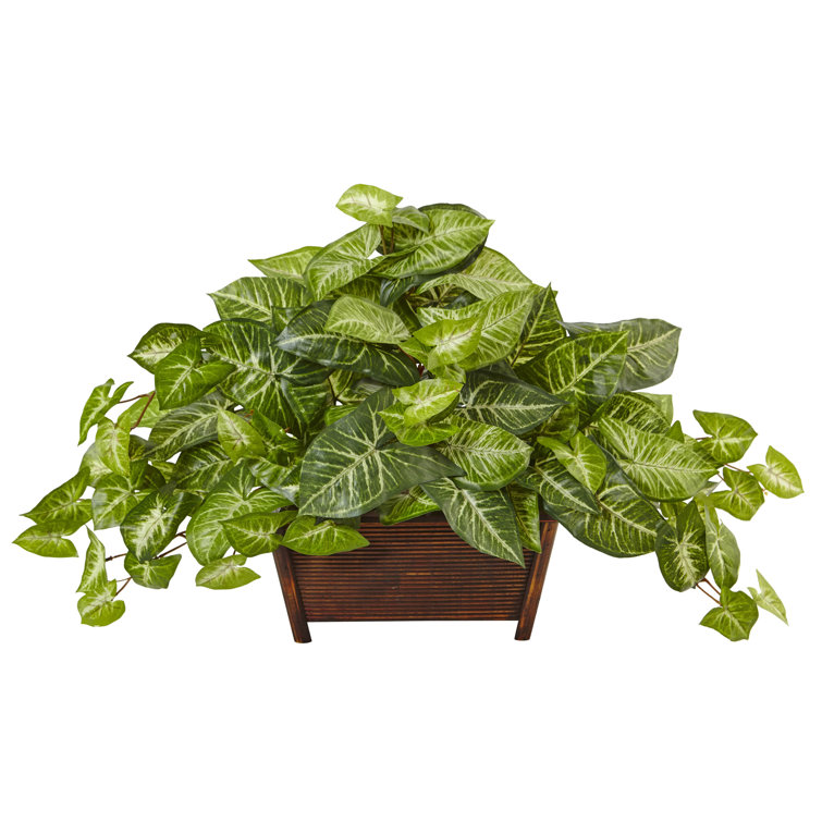 Charlton Home® 13" Artificial Foliage Plant in Planter & Reviews