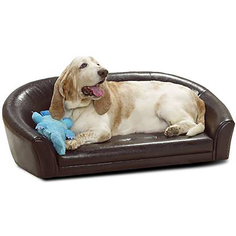 wayfair dog sofa bed