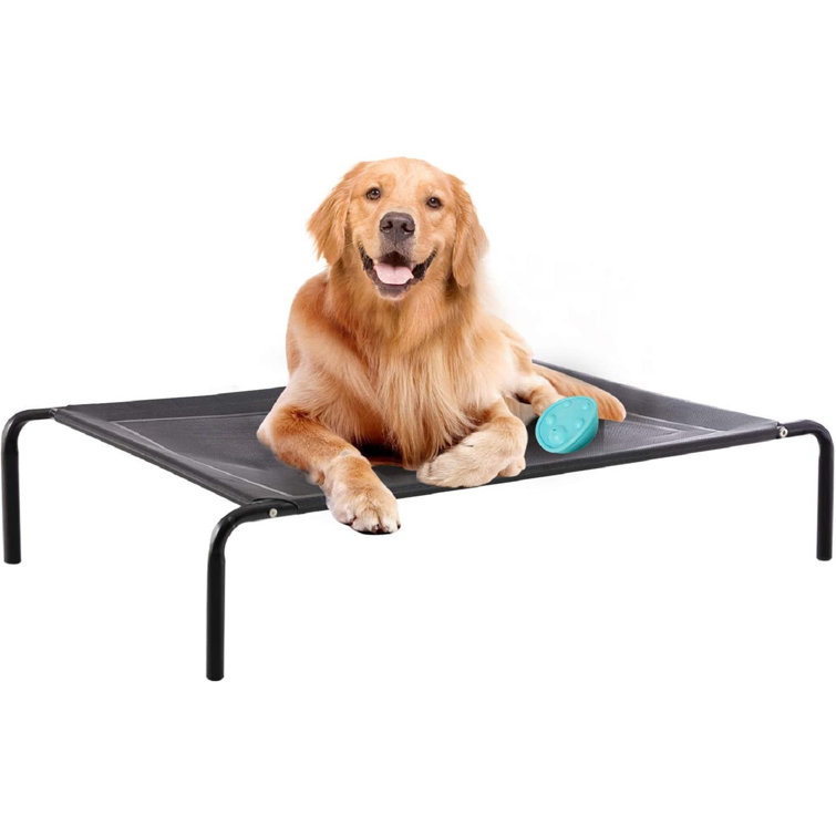medium raised dog bed