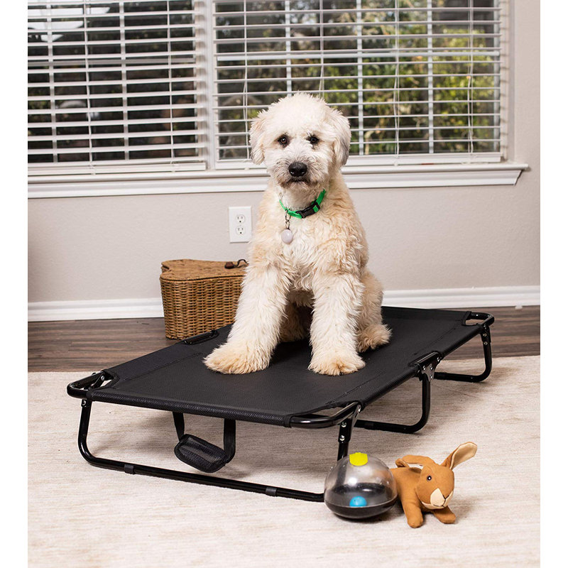 portable dog cot