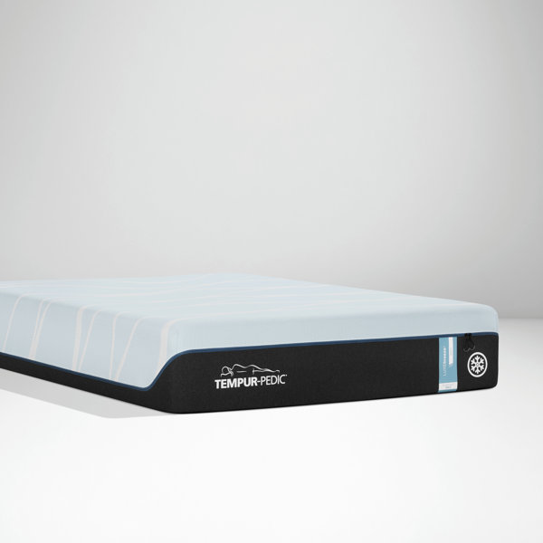 Tempur Cloud Supreme Breeze Wayfair