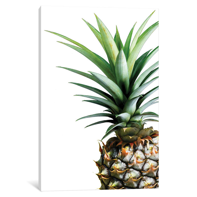 East Urban Home Pineapple Graphic Art Print On Canvas Reviews Wayfair