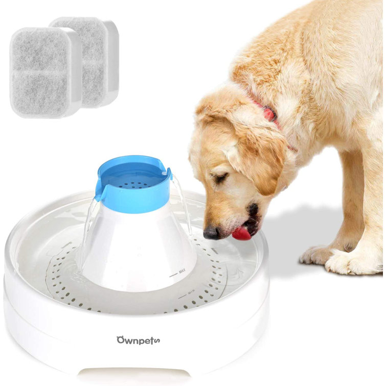automatic dog water fountain