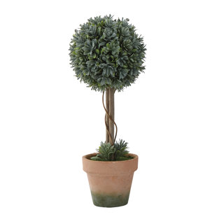 Large Outdoor Faux Topiary Wayfair Large Faux Boxwood Topiary In Pot
