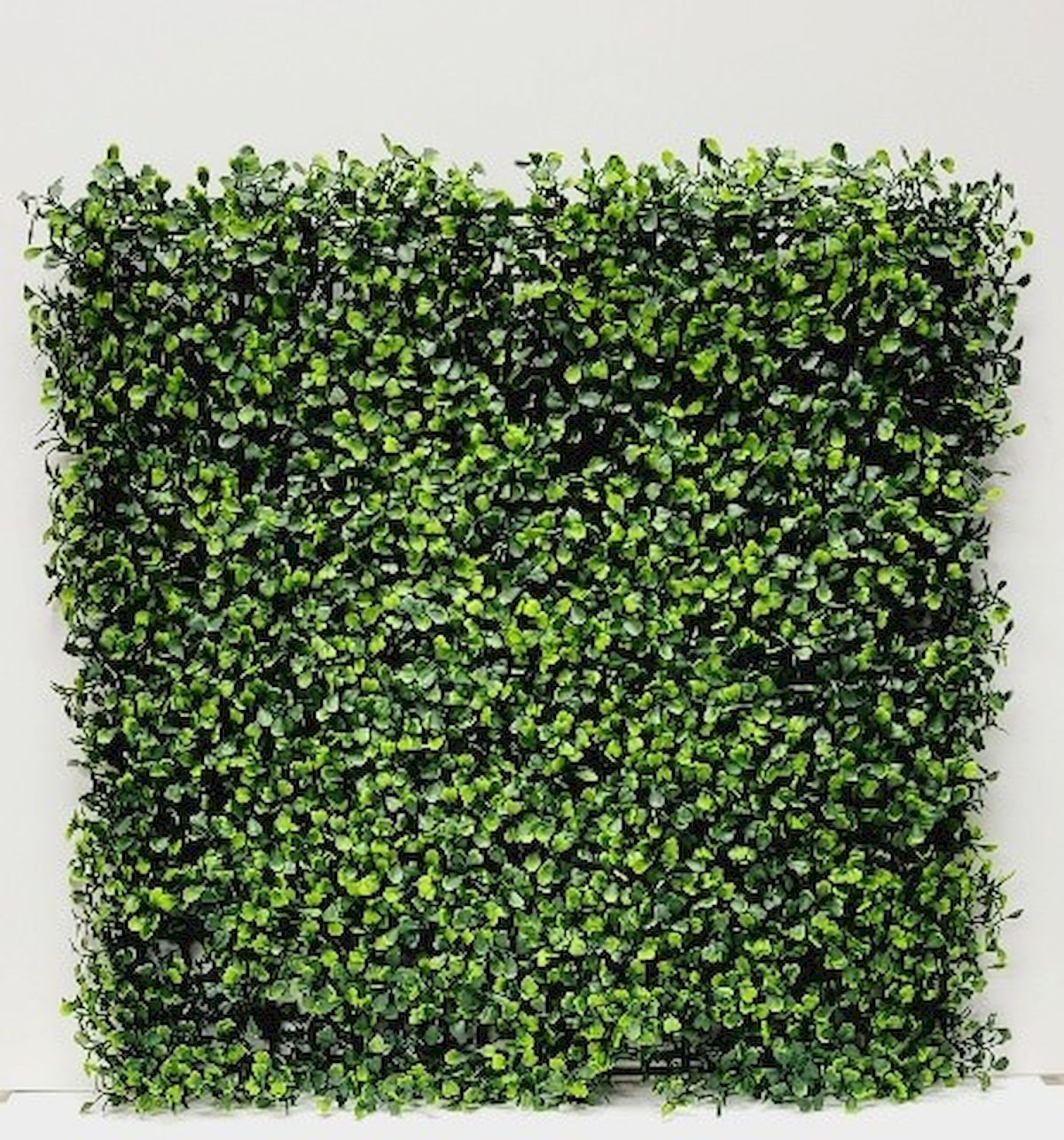 Primrue Eilis Boxwood Doormat Artificial Grass Turf Panel | Wayfair