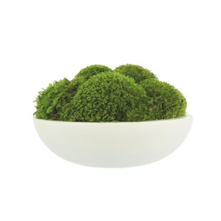 Living Room Artificial Moss Accessories Fake Green Plants 200x100cm Patio 