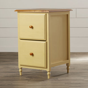 Colville 2-Drawer Vertical Filing Cabinet by August Grove
