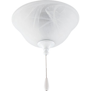 2-Light Bowl Ceiling Fan Light Kit