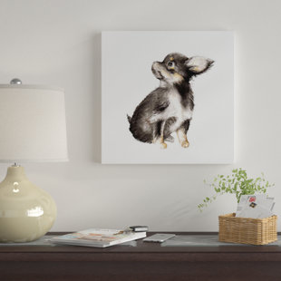 Long Haired Chihuahua Wayfair Ca