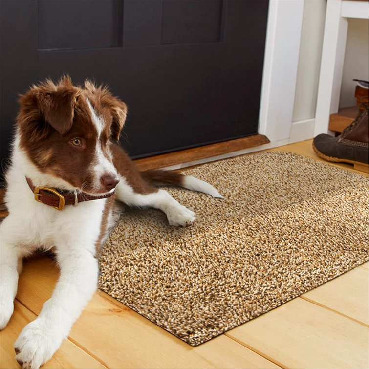 Durable Rubber Backed Non-Slip Doormat For Indoor outdoor Entrance Rug 