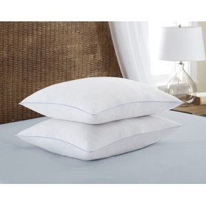 Super Plush Down Alternative Pillow by Alwyn Home