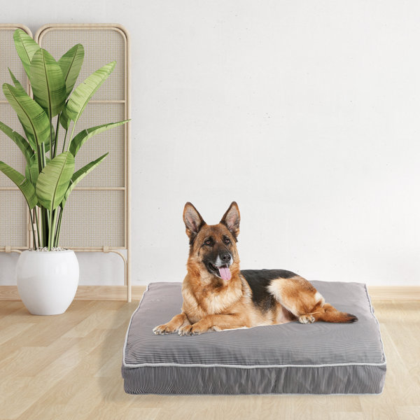 frisco travel pillow dog bed